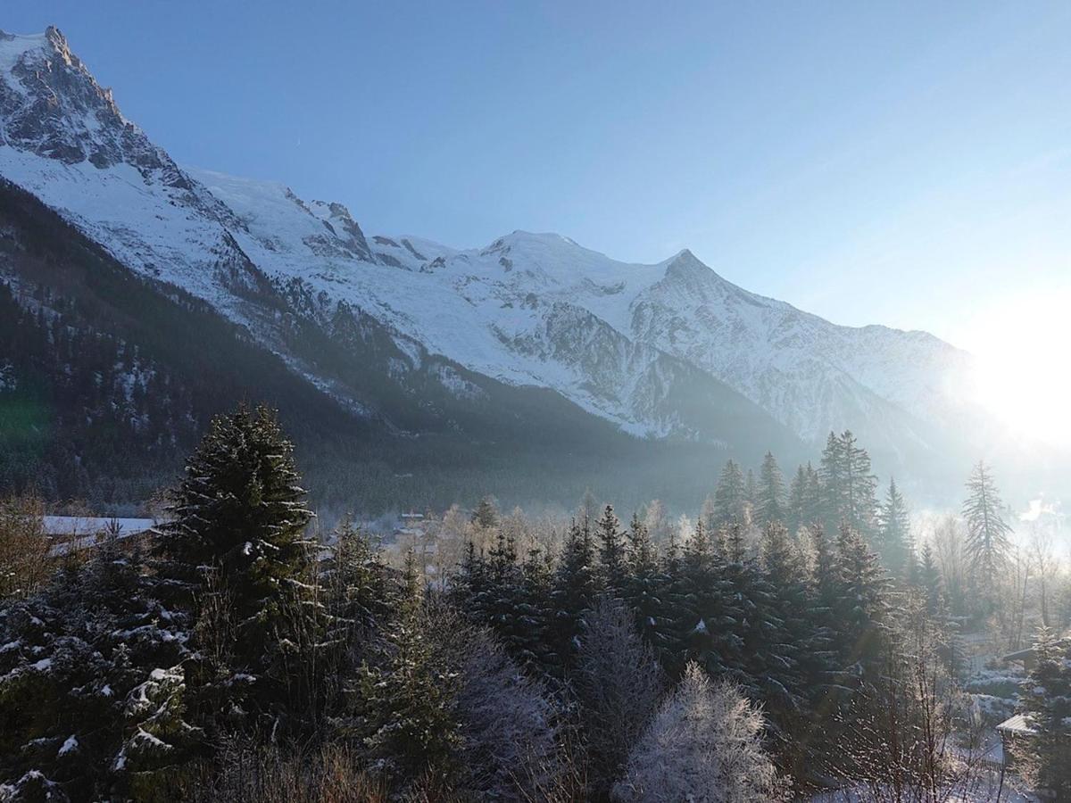 T4 Renove Avec Vue Mont-Blanc, 4 Etoiles, Proche Centre, Parking - Fr-1-507-62 Daire Chamonix Dış mekan fotoğraf